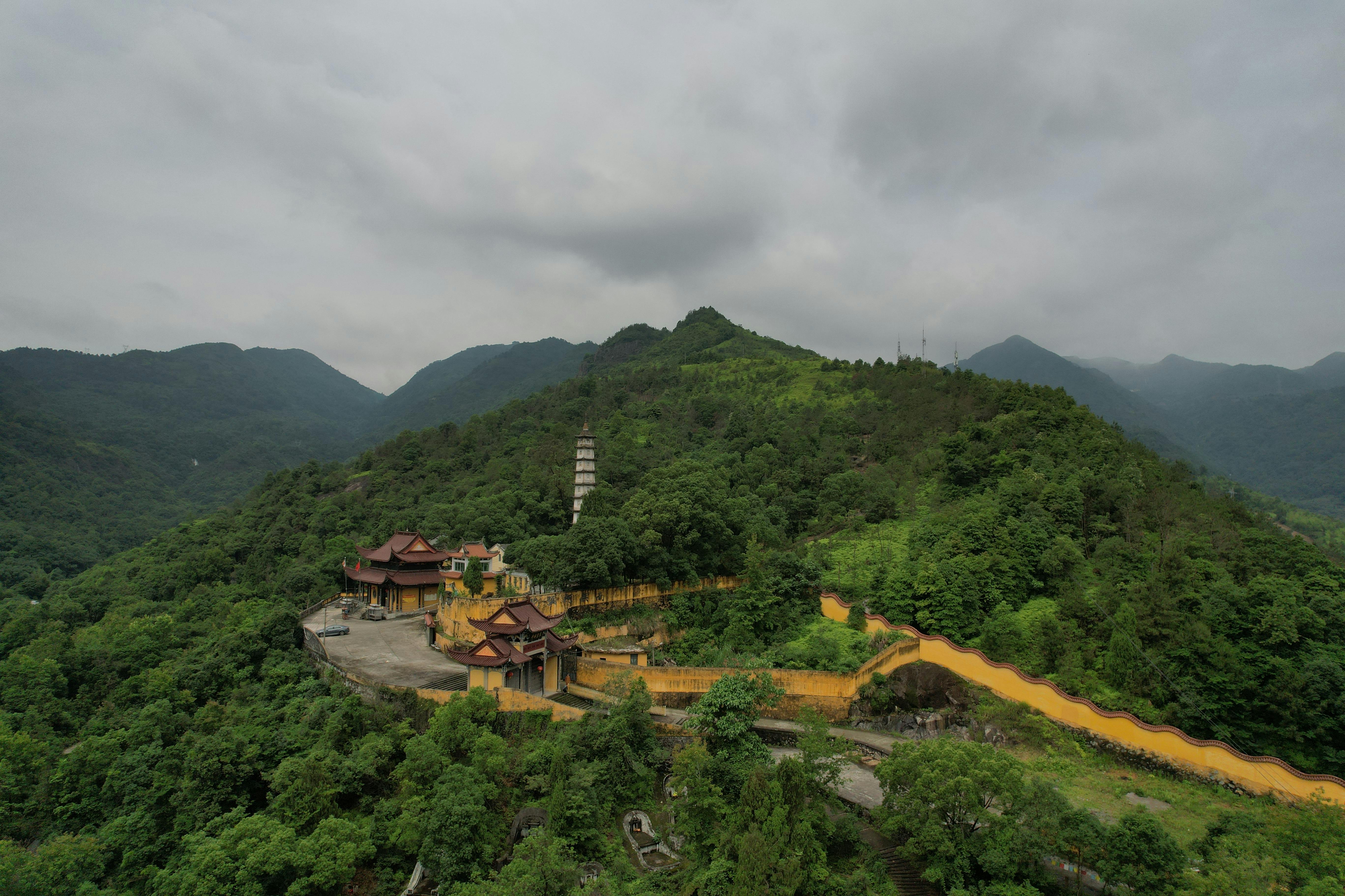 Aberdare Mountain Safari in Nyeri County